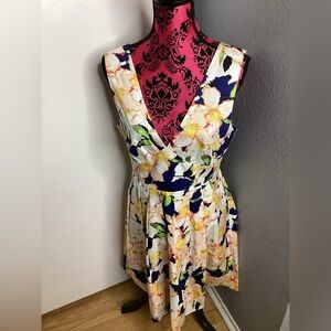 J. Crew Elegant Blue and Pink Dress 10
